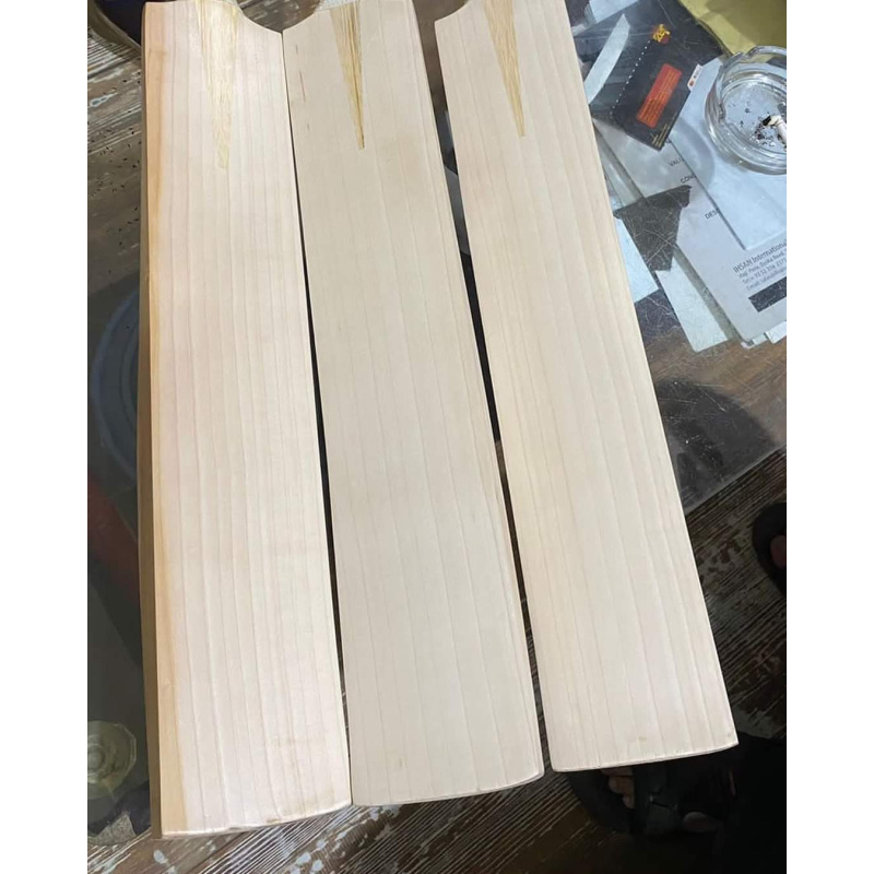 Kashmir Willow Cricket Bats