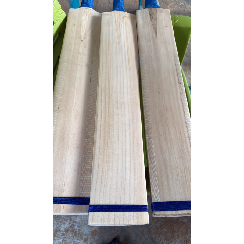 Kashmir Willow Cricket Bats